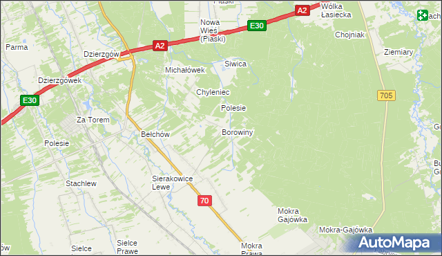 mapa Borowiny gmina Skierniewice, Borowiny gmina Skierniewice na mapie Targeo