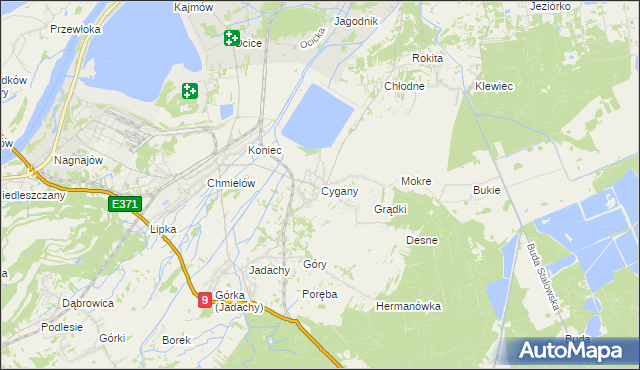 mapa Cygany gmina Nowa Dęba, Cygany gmina Nowa Dęba na mapie Targeo