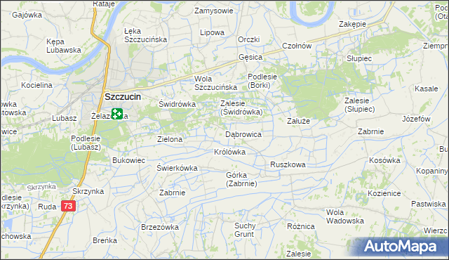 mapa Dąbrowica gmina Szczucin, Dąbrowica gmina Szczucin na mapie Targeo