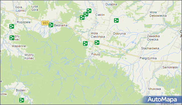 mapa Folusz gmina Dębowiec, Folusz gmina Dębowiec na mapie Targeo