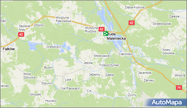 mapa Młotkowice, Młotkowice na mapie Targeo