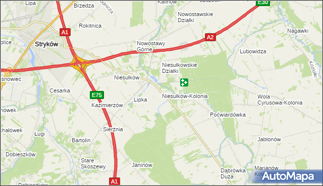 mapa Niesułków-Kolonia, Niesułków-Kolonia na mapie Targeo