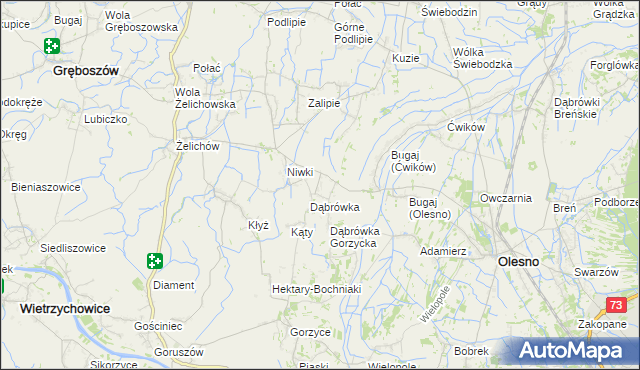 mapa Pilcza Żelichowska, Pilcza Żelichowska na mapie Targeo