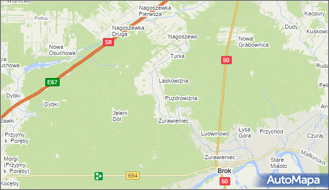 mapa Puzdrowizna, Puzdrowizna na mapie Targeo