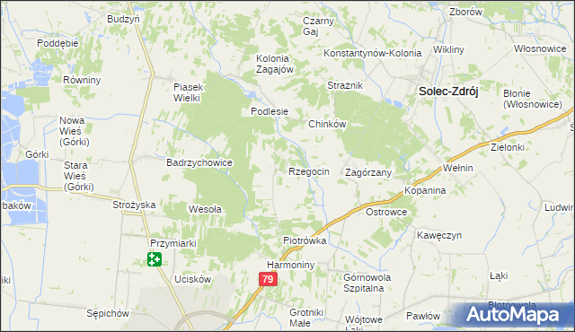 mapa Rzegocin gmina Nowy Korczyn, Rzegocin gmina Nowy Korczyn na mapie Targeo