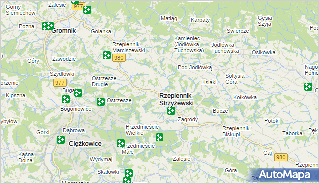 mapa Rzepiennik Strzyżewski, Rzepiennik Strzyżewski na mapie Targeo
