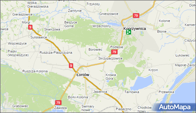 mapa Skrzypaczowice, Skrzypaczowice na mapie Targeo