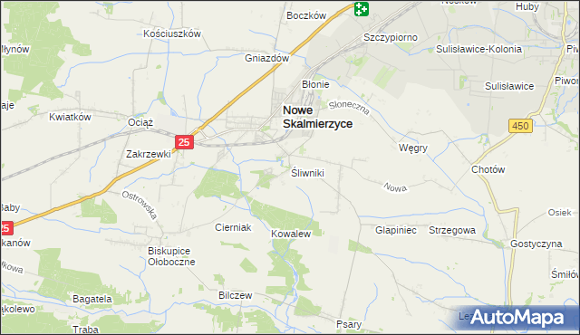 mapa Śliwniki gmina Nowe Skalmierzyce, Śliwniki gmina Nowe Skalmierzyce na mapie Targeo