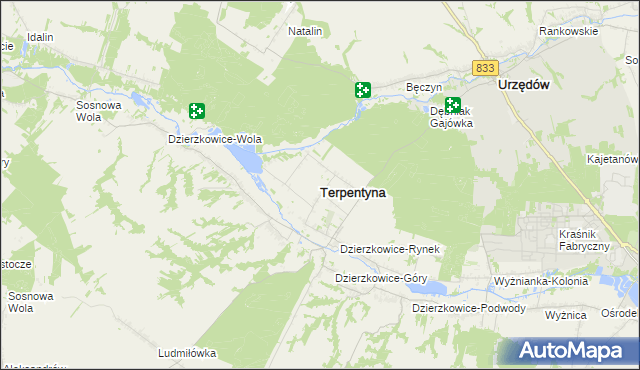 mapa Terpentyna, Terpentyna na mapie Targeo