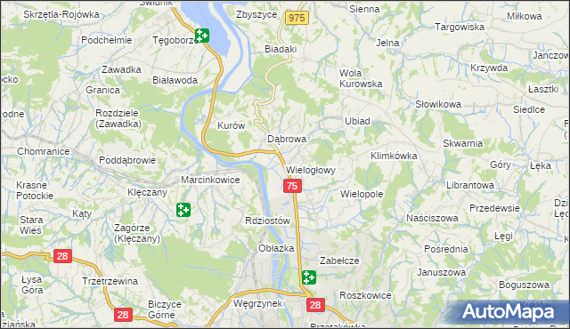 mapa Wielogłowy gmina Chełmiec, Wielogłowy gmina Chełmiec na mapie Targeo