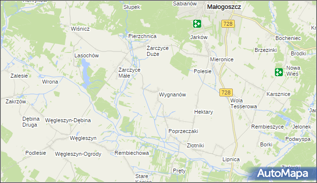 mapa Wygnanów gmina Małogoszcz, Wygnanów gmina Małogoszcz na mapie Targeo