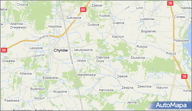 mapa Dąbrowa Duża gmina Chynów, Dąbrowa Duża gmina Chynów na mapie Targeo
