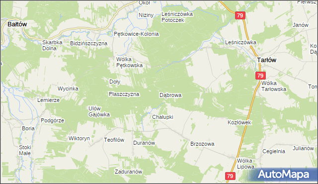 mapa Dąbrowa gmina Tarłów, Dąbrowa gmina Tarłów na mapie Targeo