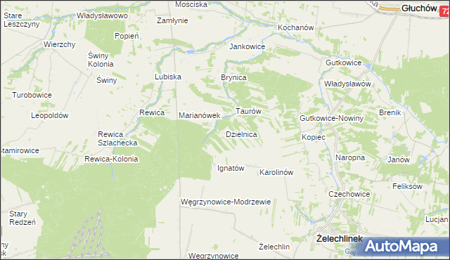 mapa Dzielnica gmina Żelechlinek, Dzielnica gmina Żelechlinek na mapie Targeo