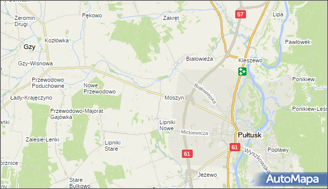 mapa Moszyn, Moszyn na mapie Targeo