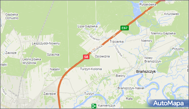 mapa Ojcowizna, Ojcowizna na mapie Targeo