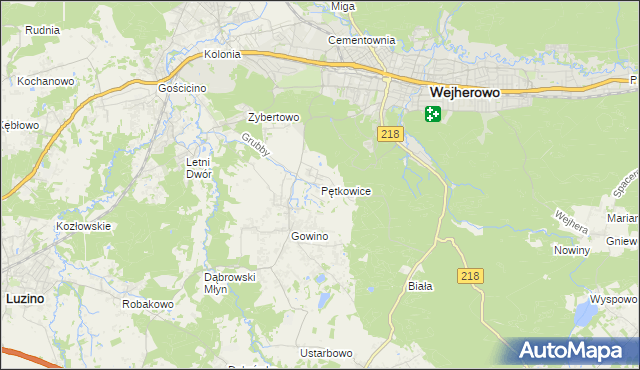 mapa Pętkowice gmina Wejherowo, Pętkowice gmina Wejherowo na mapie Targeo