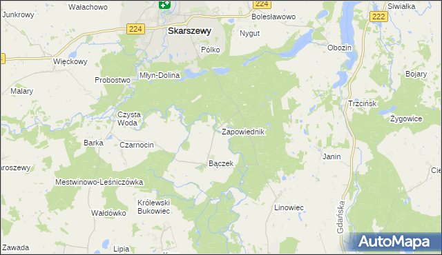 mapa Zapowiednik gmina Skarszewy, Zapowiednik gmina Skarszewy na mapie Targeo