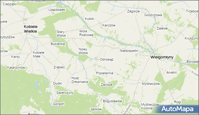 mapa Odrowąż gmina Wielgomłyny, Odrowąż gmina Wielgomłyny na mapie Targeo