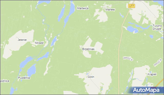 mapa Brzeźniak gmina Człopa, Brzeźniak gmina Człopa na mapie Targeo