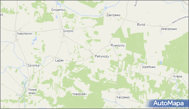 mapa Petrykozy gmina Działdowo, Petrykozy gmina Działdowo na mapie Targeo