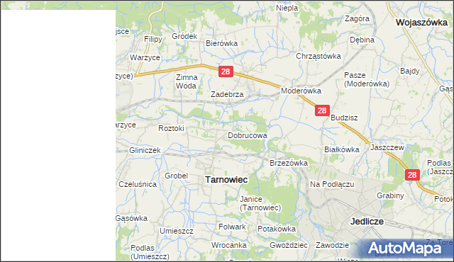 mapa Dobrucowa, Dobrucowa na mapie Targeo