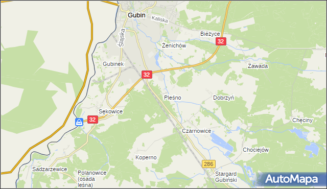 mapa Pleśno gmina Gubin, Pleśno gmina Gubin na mapie Targeo