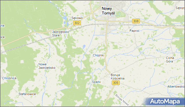 mapa Chojniki gmina Nowy Tomyśl, Chojniki gmina Nowy Tomyśl na mapie Targeo