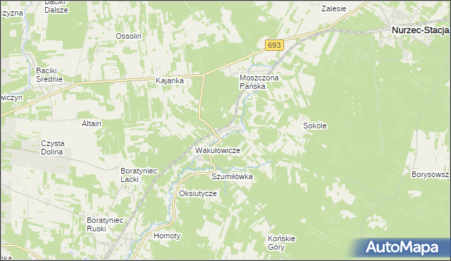 mapa Sycze, Sycze na mapie Targeo