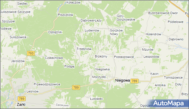 mapa Brzeziny gmina Niegowa, Brzeziny gmina Niegowa na mapie Targeo