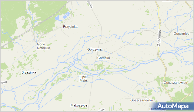 mapa Górecko, Górecko na mapie Targeo