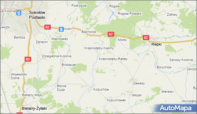 mapa Krasnodęby-Rafały, Krasnodęby-Rafały na mapie Targeo