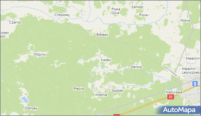 mapa Kwieki, Kwieki na mapie Targeo