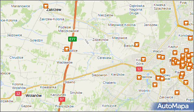 mapa Cerekiew gmina Zakrzew, Cerekiew gmina Zakrzew na mapie Targeo