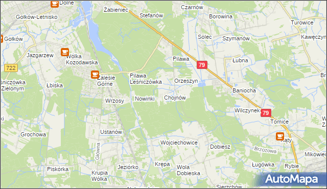 mapa Chojnów gmina Piaseczno, Chojnów gmina Piaseczno na mapie Targeo