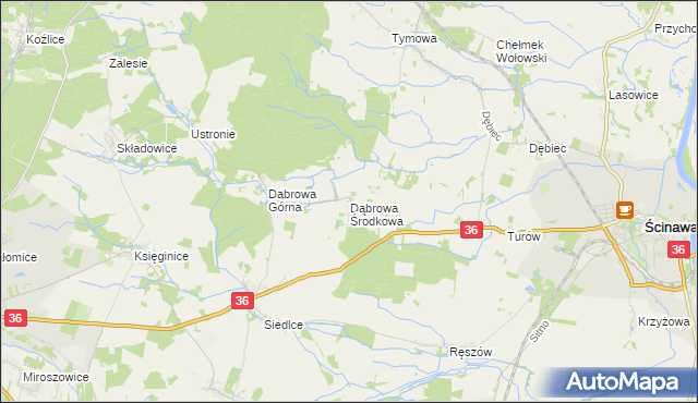 mapa Dąbrowa Środkowa, Dąbrowa Środkowa na mapie Targeo