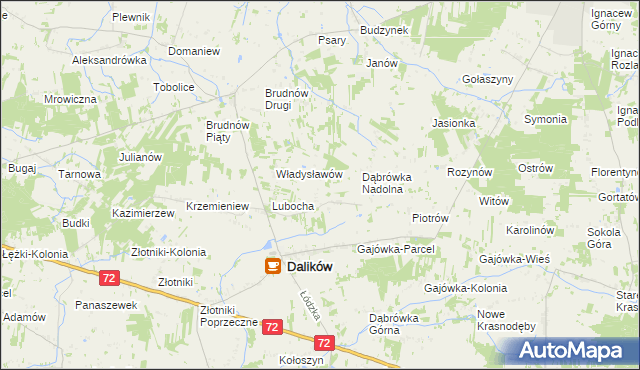 mapa Dąbrówka Woźnicka, Dąbrówka Woźnicka na mapie Targeo