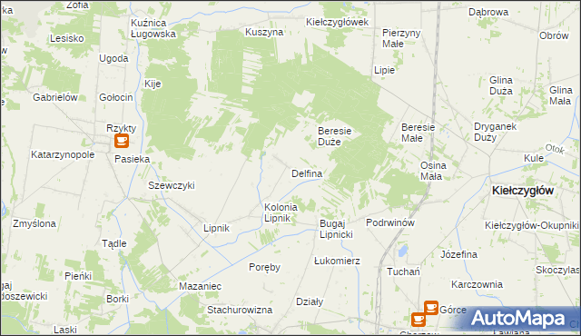 mapa Delfina gmina Siemkowice, Delfina gmina Siemkowice na mapie Targeo
