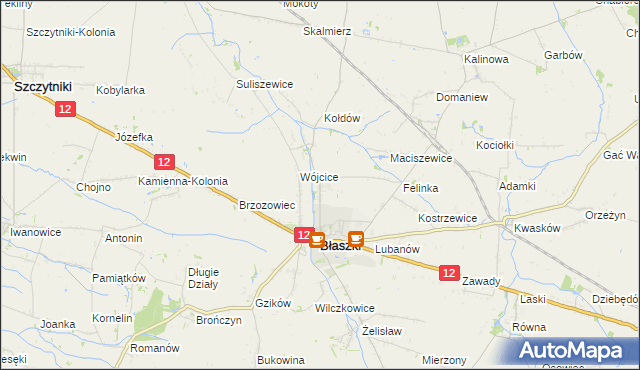 mapa Kokoszki gmina Błaszki, Kokoszki gmina Błaszki na mapie Targeo