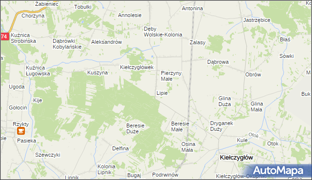 mapa Lipie gmina Kiełczygłów, Lipie gmina Kiełczygłów na mapie Targeo