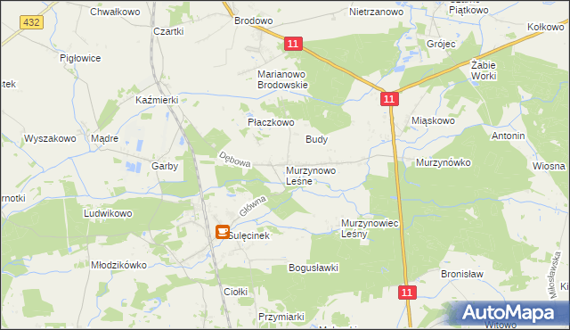 mapa Murzynowo Leśne, Murzynowo Leśne na mapie Targeo