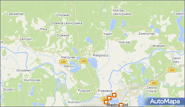 mapa Radgoszcz gmina Międzychód, Radgoszcz gmina Międzychód na mapie Targeo