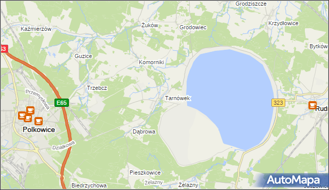 mapa Tarnówek gmina Polkowice, Tarnówek gmina Polkowice na mapie Targeo