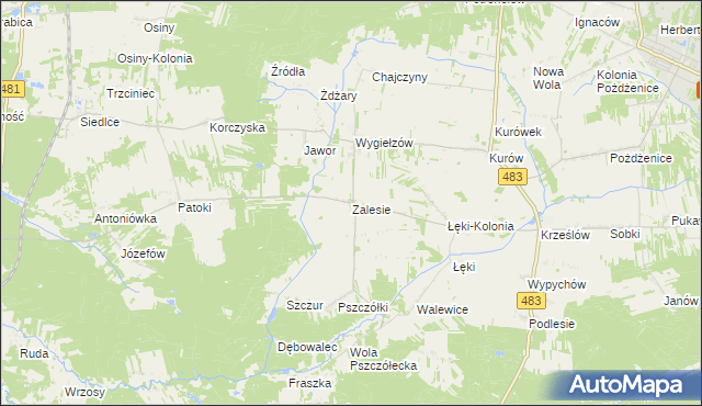 mapa Zalesie gmina Zelów, Zalesie gmina Zelów na mapie Targeo