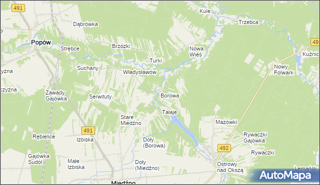 mapa Borowa gmina Miedźno, Borowa gmina Miedźno na mapie Targeo