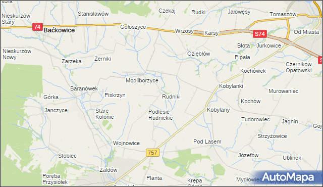 mapa Rudniki gmina Baćkowice, Rudniki gmina Baćkowice na mapie Targeo