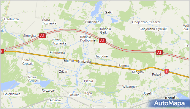 mapa Jagodne gmina Kotuń, Jagodne gmina Kotuń na mapie Targeo