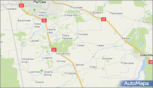 mapa Cieśle gmina Gołuchów, Cieśle gmina Gołuchów na mapie Targeo