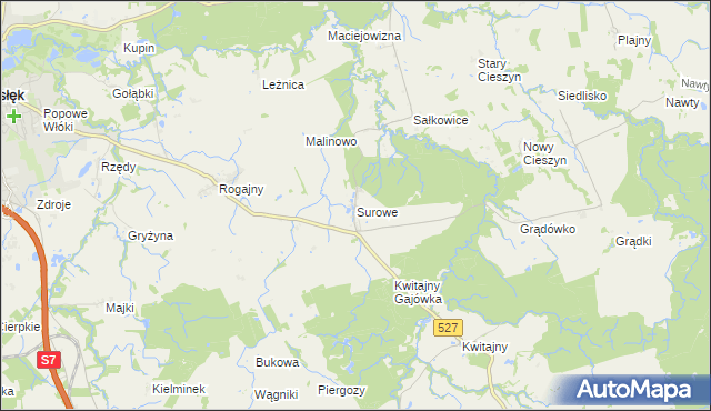 mapa Surowe gmina Pasłęk, Surowe gmina Pasłęk na mapie Targeo