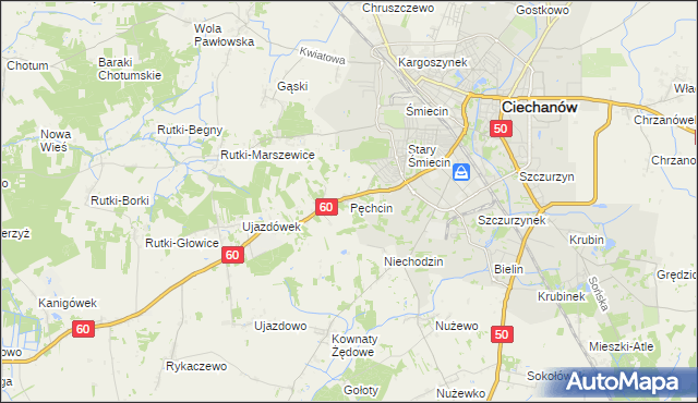 mapa Pęchcin, Pęchcin na mapie Targeo